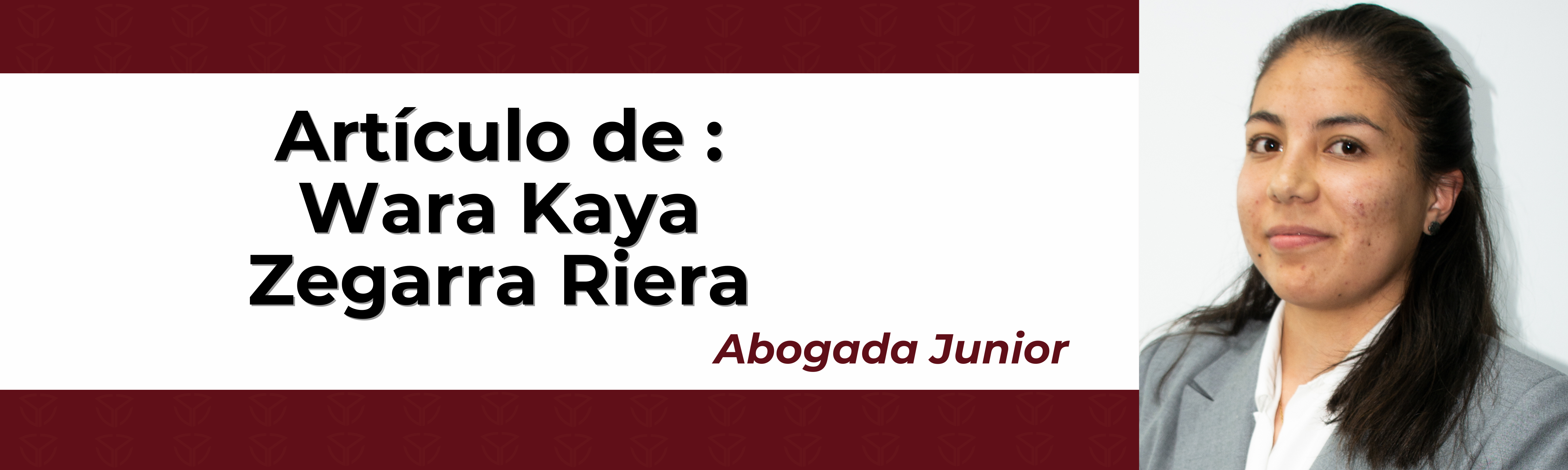Imagen auxiliar del articulo
