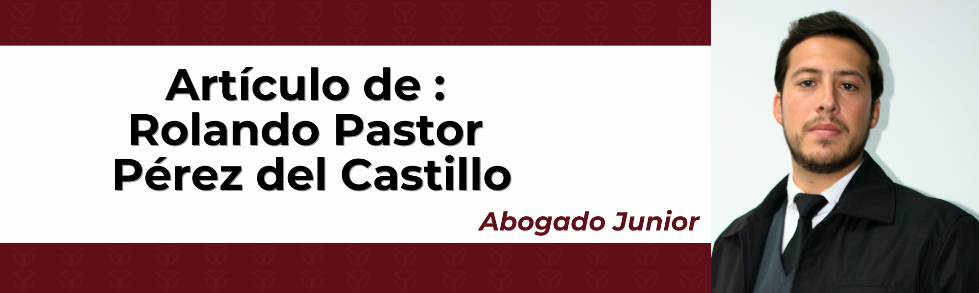 Imagen auxiliar del articulo