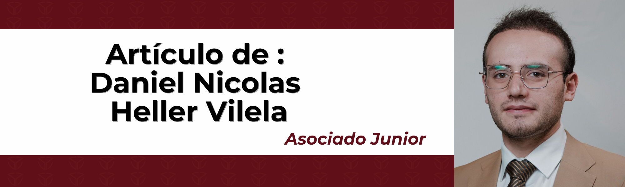 Imagen auxiliar del articulo 